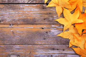 Naklejka na ściany i meble Yellow Autumn leaves on wooden background