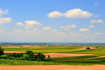 Summer landscape in Serbia, Europe	