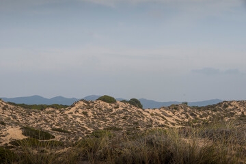 Vast dune landscape