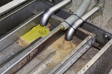 Extra virgin olive oil extraction process in olive oil mill in the outskirts of Athens in Attica, Greece.