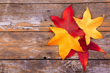 Naklejka na ściany i meble Colorful Autumn leaves on aged background