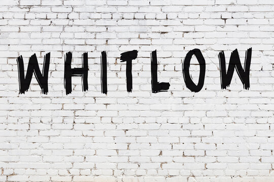 White wall with black paint inscription whitlow on it