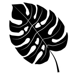 Monstera leaf silhouette isolated on white background. Monstera tree leaf black sihouette vector illustration.  Monochrome design.