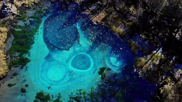 Aerial view of a drone on a turquoise geyser lake in the autumn forest among the mountains. Altay. Russia