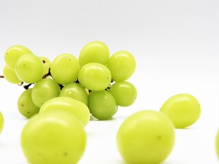 シャインマスカット