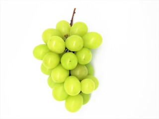 シャインマスカット