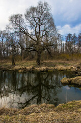 Obraz premium a small field river in early spring.russian provincial landscape 
