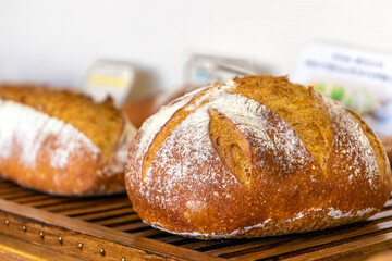 美味しい 可愛い どうぶつパン