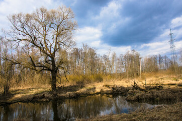 Fototapeta na wymiar a small field river in early spring.russian provincial landscape