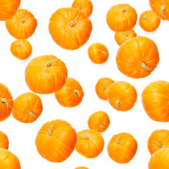 Seamless pattern with pumpkin. Autumn abstract seamless pattern made from Pumpkins on the white background. Pumpkin quality pattern.