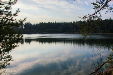 Fototapeta premium a picturesque forest lake with banks covered with coniferous forest in early spring