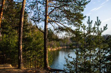 Obraz premium a picturesque forest lake in central Russia in early spring