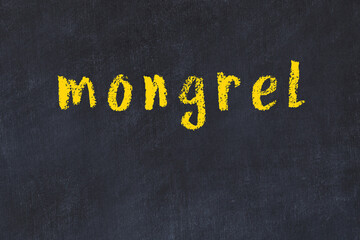 Black chalkboard with inscription mongrel on in