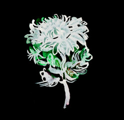 chrysanthemum gray black and green watercolor paint in chinise watercolor technique. Applicable for Banners, Flyers.