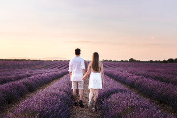 Back view of a couple walking between the rows in a lavender field in Brihuega, Spain