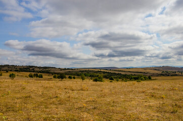 Obraz premium Landscape with clouds and sky