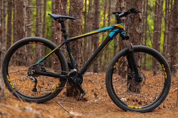 Fototapeta na wymiar Mountain bike in pine forest