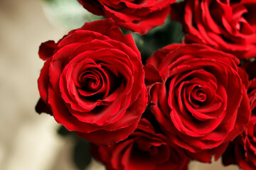 Photo of red roses. Floral background