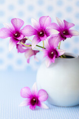 Lila Orchideen in kleiner Vase