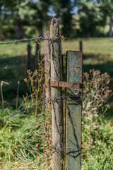 Closeup of a wooden post and a metal one joined by a rust metal sheet, with barbed wire from an old fence with green vegetation in a blurred background, sunny day in the countryside in the Netherlands