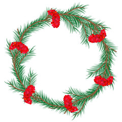 Merry Christmas wreath. Green pine twigs and red berries. Vector illustration. Nature design greeting card template. Winter holidays.