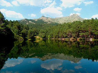 Reflejo natural de un bosque rodeado de montañas /  Natural reflection of a forest surrounded by mountains