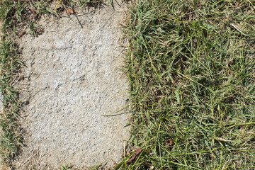 Split-screen with a part of the grass and another of cement surrounded by clean branches to put a...