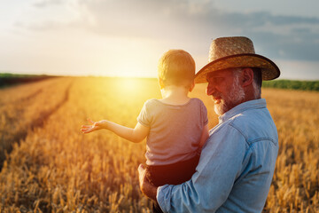 grandfather holding his grandson standing in the wheat field