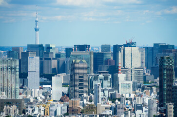 Fototapeta na wymiar 東京風景　2020年9月　東京スカイツリーと高層ビル群