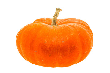 Ripe pumpkin ready for cooking