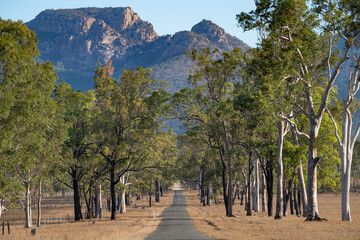 Obraz premium The road to Mount Walsh National Park