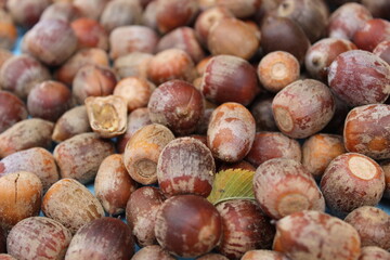 vegetable background acorns or nuts close up brown food autumn time of year