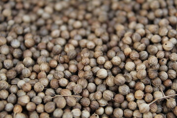 food background brown gray spices dill seeds cumin or coriander close up