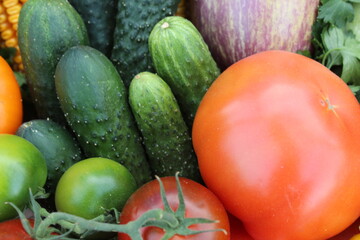food background vegetables tomatoes red yellow cucumbers green carrots orange corn potatoes beets cabbage