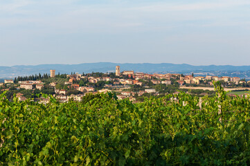 Fototapeta na wymiar Umbria Torgiano (Perugia)