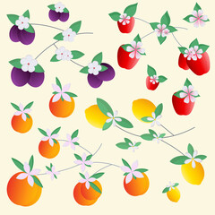 Lemon Apple peach plum