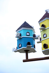 Colourful house of birds
