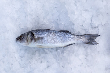 Closeup on one fish sold at the marked in ice.