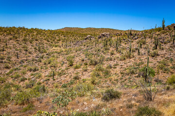 Apache Trail Scenic Drive View