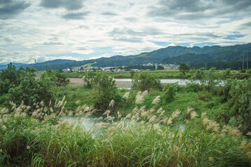 Fototapeta na wymiar 田舎の風景(すすきと山)