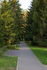 Autumn road in the park. Beautiful landscape in Pushkin, Russia