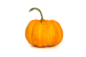 fancy jack be little pumpkin isolated on white background.