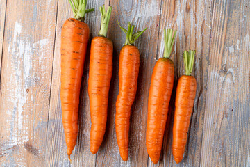Five bright crunchy carrots on rustic table top view
