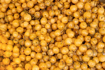 Yellow cherry background with close up of many berries on a market