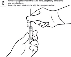 Step 6 : While holding the swab in the same hand, aseptically remove the cap from the tube. Insert the swab into the tube with the transport medium. line drawing