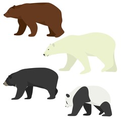 Vector set of different species of bears. Brown bear, polar bear, american black bear and giant panda. Colorful bears collection.