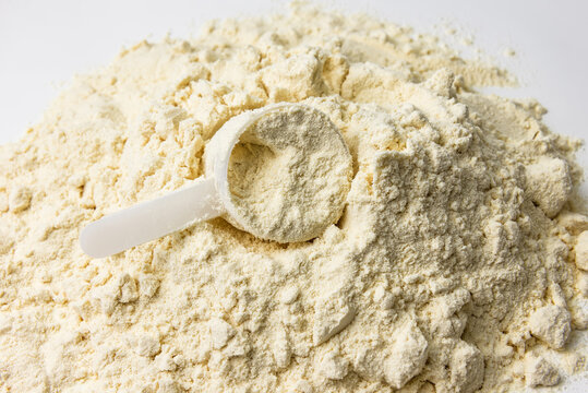 plastic scoop in whey protein heap