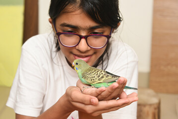 Young Indian girl feeding pet bird budgie chick or baby love bird with her hand. kid taming,...