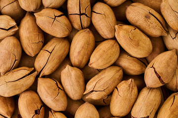 texture of nuts pecan closeup