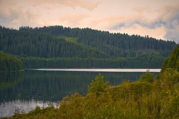 Lake, Wood, Landscape